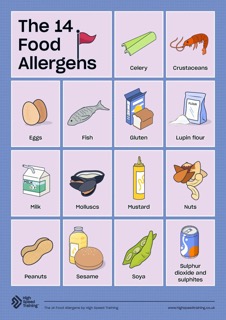14 Main Allergens Guide